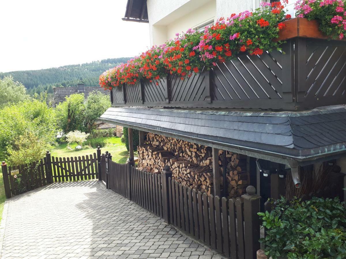 Ferienwohnungen Luge - Winterberg Extérieur photo